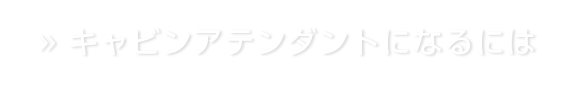 キャビンアテンダントになるには